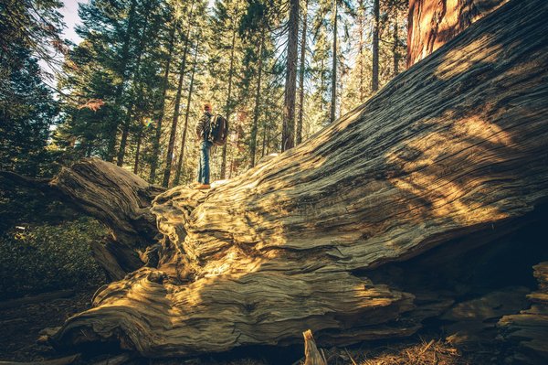 Comment explorer les châteaux médiévaux de Transylvanie, Roumanie : itinéraires et recommandations ?